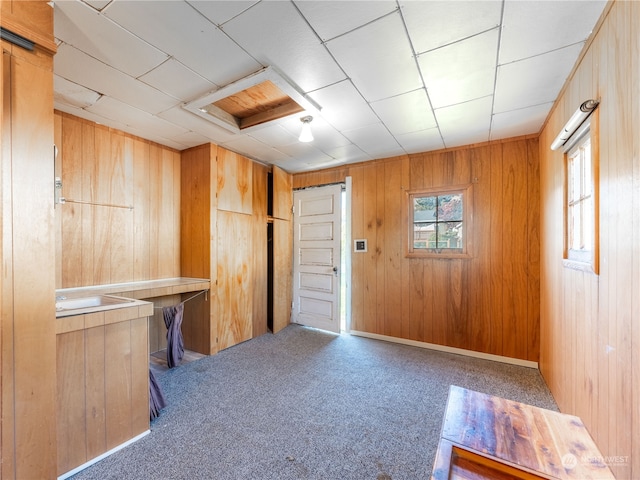 misc room featuring carpet flooring and wooden walls