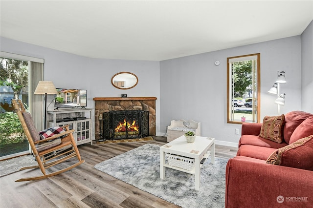 living room with a fireplace and wood-type flooring