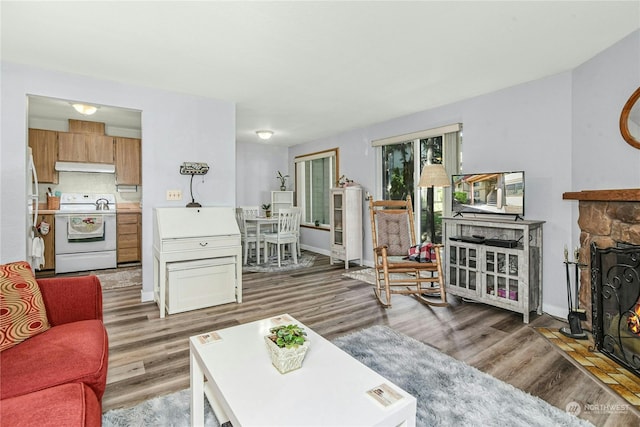 living room with a stone fireplace and wood-type flooring