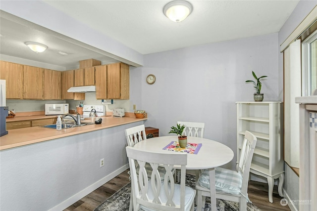 kitchen with sink, dark hardwood / wood-style floors, and white appliances