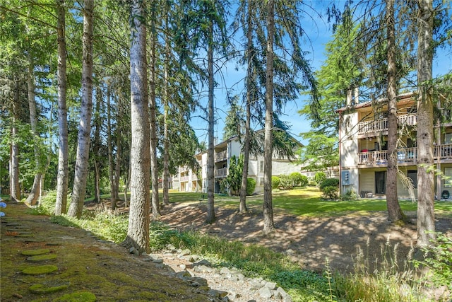 view of yard featuring a wooden deck