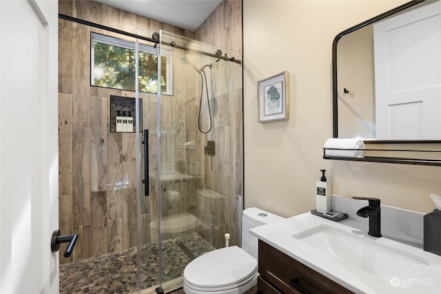 bathroom featuring vanity, toilet, and walk in shower