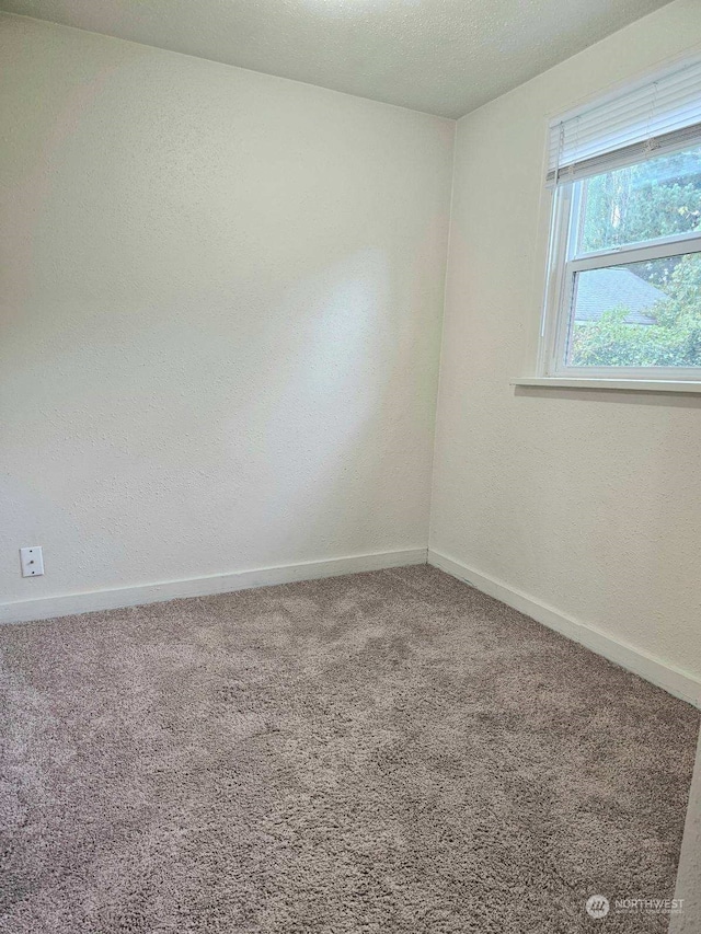 carpeted spare room featuring a textured ceiling