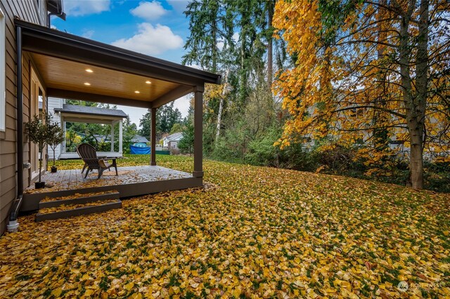 view of yard featuring a patio area