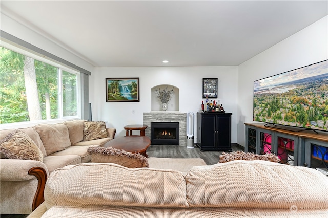 living room featuring wood-type flooring