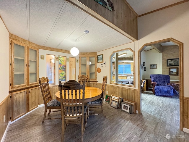 dining room featuring a textured ceiling, a healthy amount of sunlight, and dark wood-type flooring