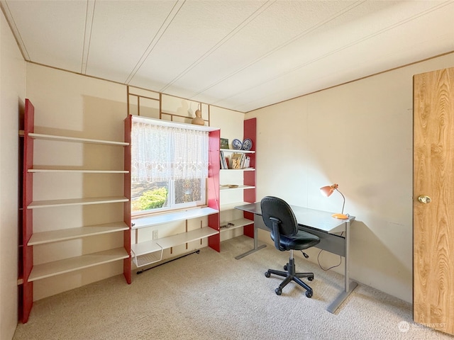 office space featuring carpet flooring