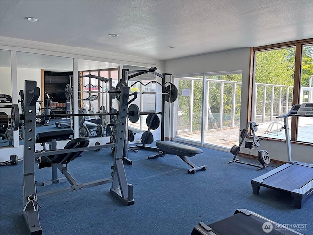250 Tucker Ave Unit 24, Friday Harbor, WA 98250 - workout area featuring healthy amount of natural light, a textured ceiling, and carpet flooring