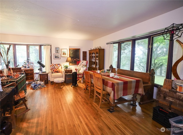 dining room with wood-type flooring and a healthy amount of sunlight