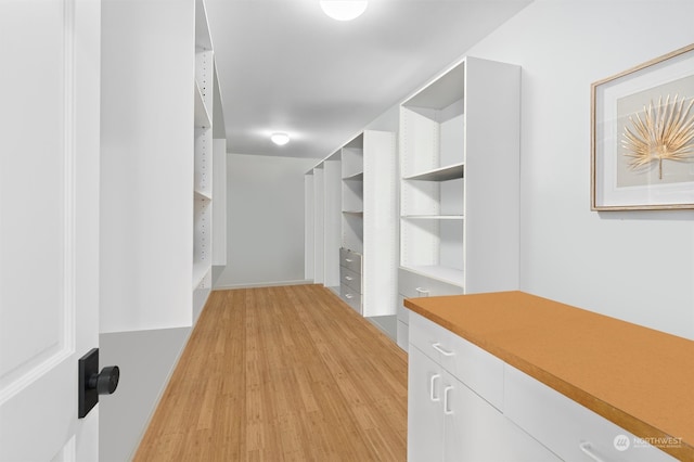 walk in closet with light hardwood / wood-style flooring