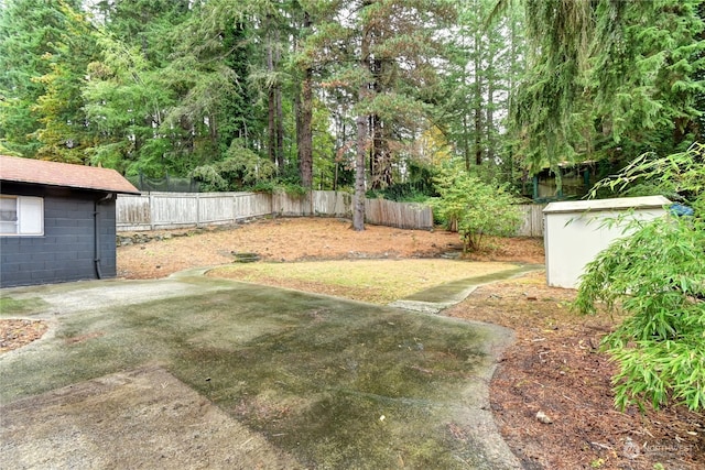 view of yard featuring a storage unit and a patio area