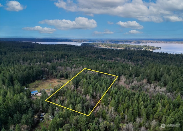 0 196th Ave NW, Lakebay WA, 98349 land for sale