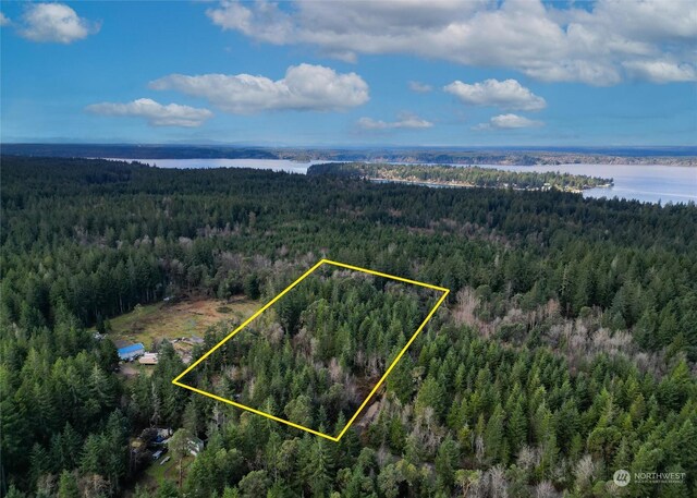 0 196th Ave NW, Lakebay, WA 98349 - photo 1