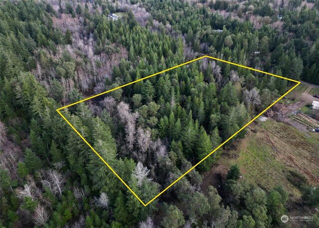 0 196th Ave NW, Lakebay, WA 98349 - photo 6