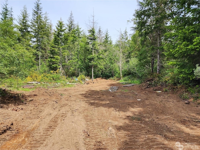 0 196th Ave NW, Lakebay, WA 98349 - photo 2