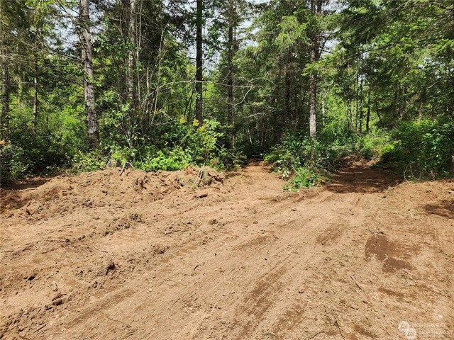 0 196th Ave NW, Lakebay, WA 98349 - photo 7
