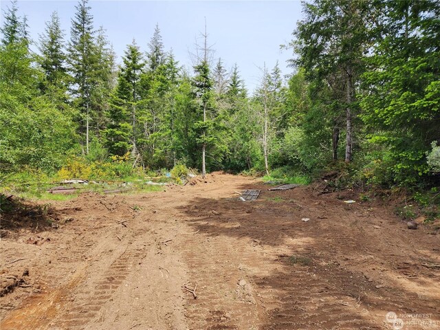 0 196th Ave NW, Lakebay, WA 98349 - photo 10