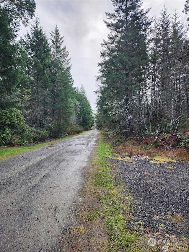 0 196th Ave NW, Lakebay, WA 98349 - photo 11