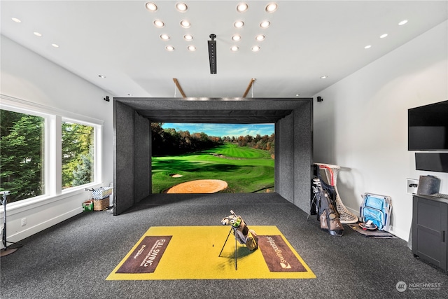 recreation room featuring carpet and golf simulator