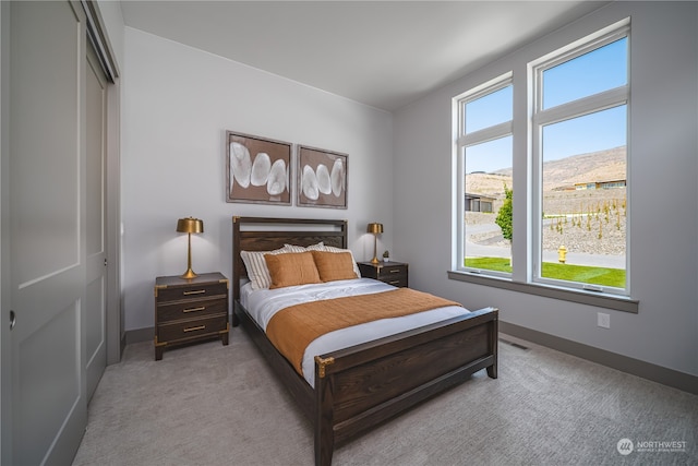 bedroom with a mountain view, carpet flooring, and a closet