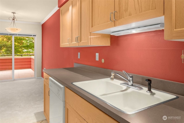 kitchen with white dishwasher, sink, crown molding, and light carpet