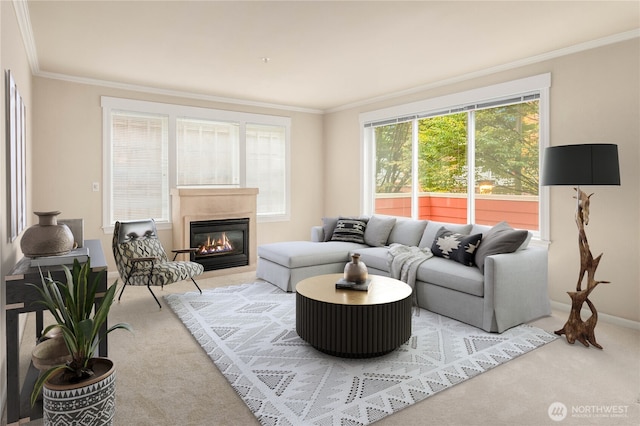 carpeted living room with ornamental molding