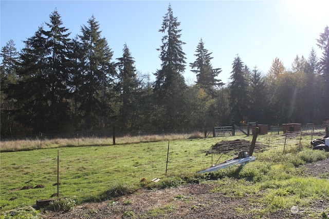 view of yard with a rural view