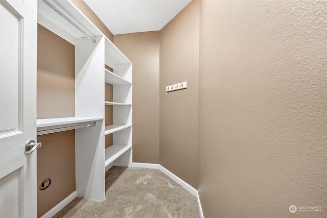 spacious closet featuring light colored carpet