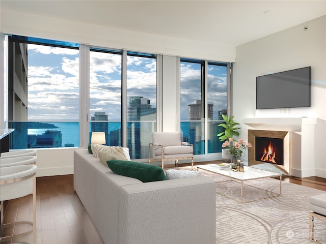 living room with a premium fireplace, hardwood / wood-style floors, and a water view