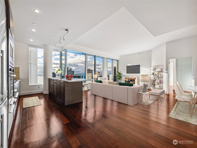 living room featuring dark wood-type flooring