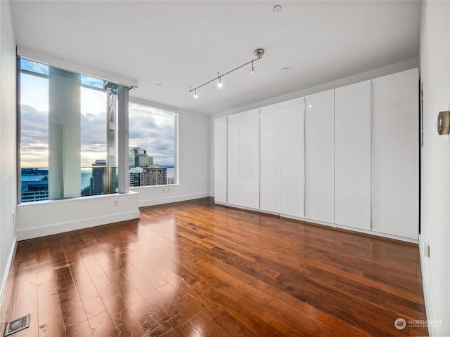 spare room with a healthy amount of sunlight and dark hardwood / wood-style floors