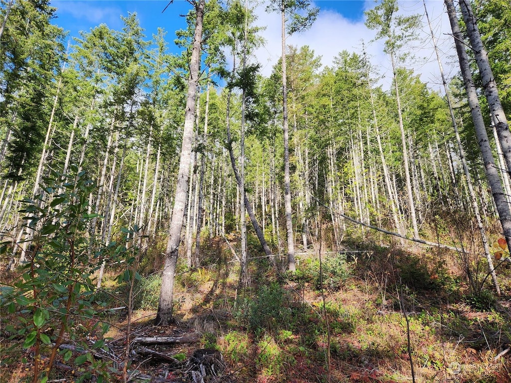 0 Rocky Brook Rd Lot H, Lot H, Brinnon, WA 98320 - photo 1