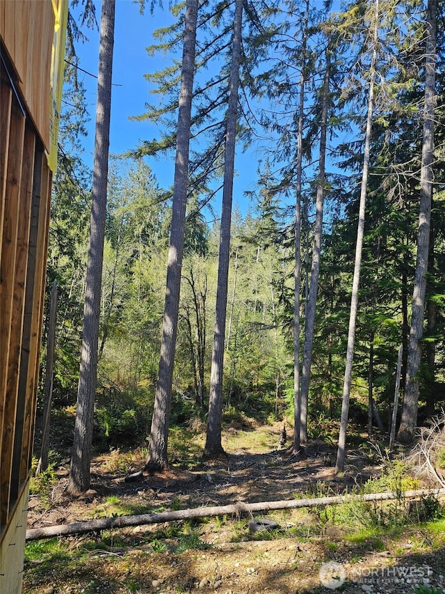 821 E Olde Lyme Rd, Shelton, WA 98584 - photo 15