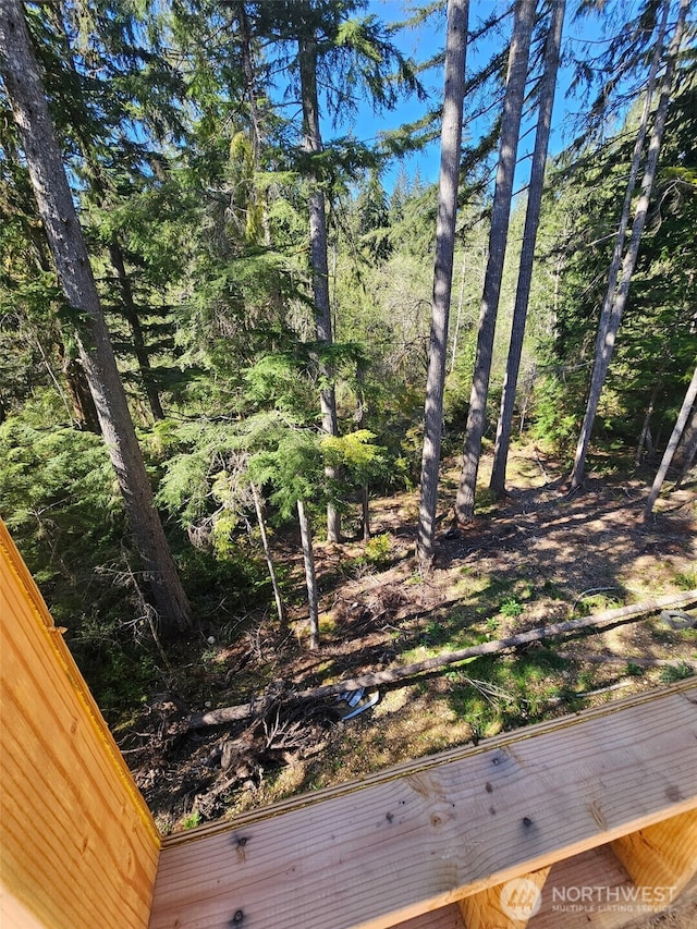 821 E Olde Lyme Rd, Shelton, WA 98584 - photo 17
