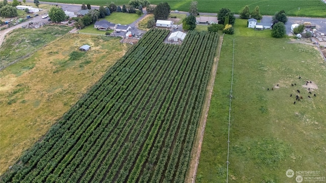 aerial view with a rural view