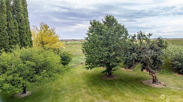 view of local wilderness featuring a rural view