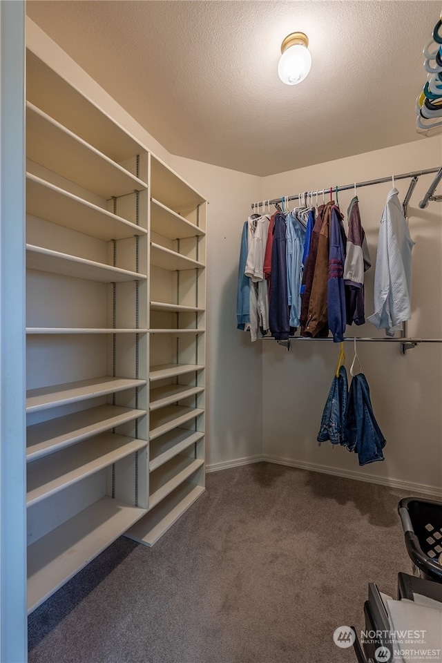 walk in closet featuring carpet