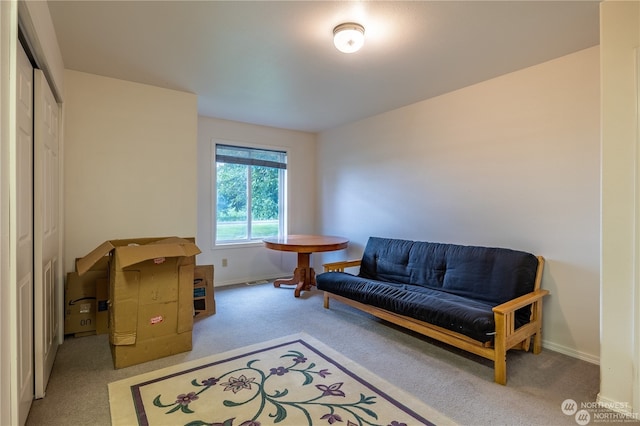 sitting room featuring light carpet