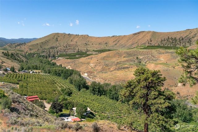 0 Stemilt Creek Rd, Wenatchee, WA 98801 - photo 2
