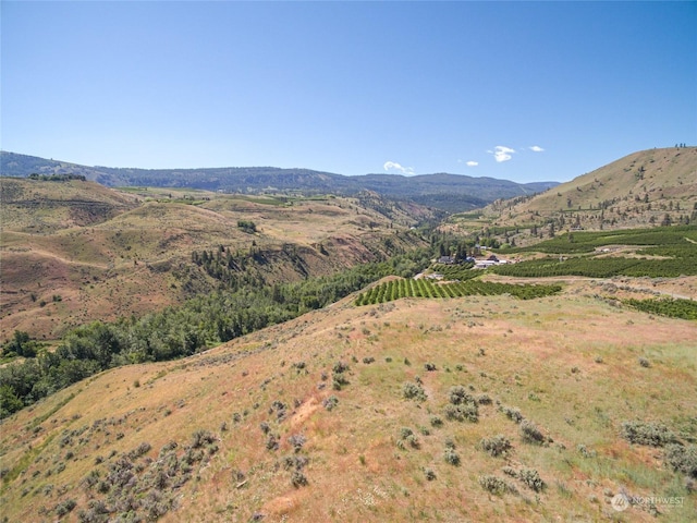 0 Stemilt Creek Rd, Wenatchee, WA 98801 - photo 12