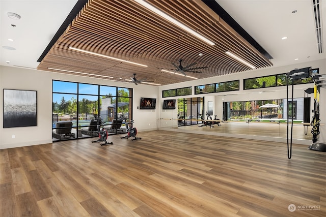 gym with hardwood / wood-style flooring and ceiling fan