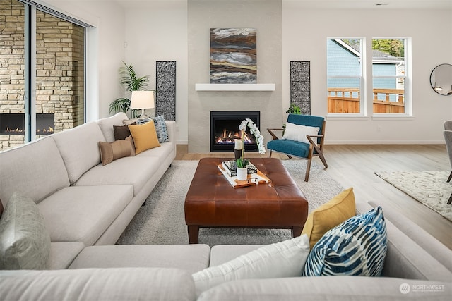 living room featuring a fireplace and wood-type flooring