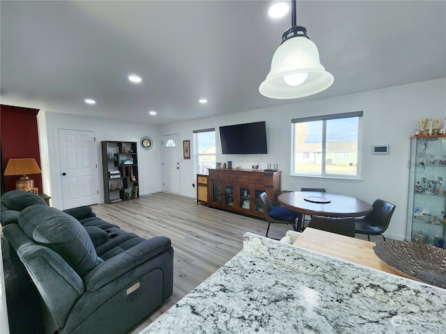 living room with light wood-type flooring