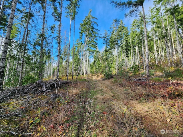 Listing photo 2 for 0 Rocky Brook Rd Lot I, Lot I, Brinnon WA 98320