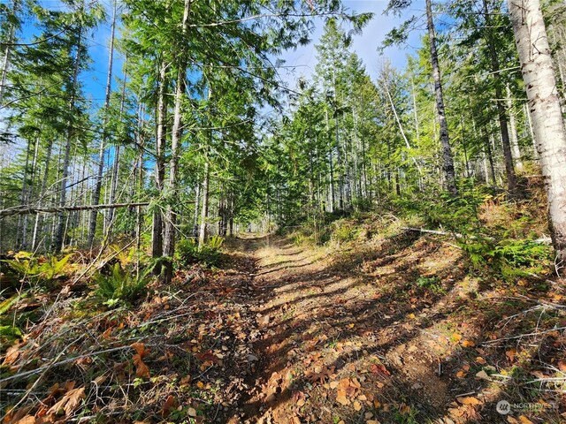 0 Rocky Brook Rd Lot I, Lot I, Brinnon, WA 98320 - photo 3