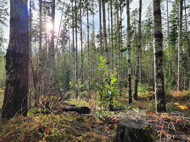 0 Rocky Brook Rd Lot I, Lot I, Brinnon, WA 98320 - photo 2