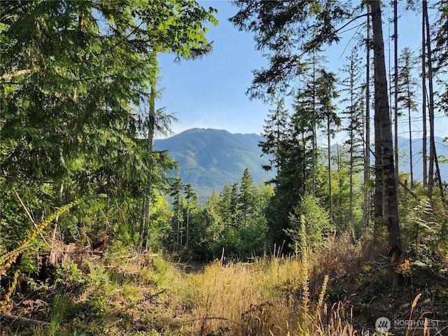 0 Rocky Brook Rd Lot I, Lot I, Brinnon, WA 98320 - photo 1