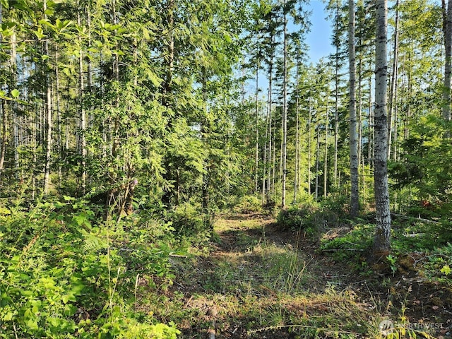 0 Rocky Brook Rd Lot I, Lot I, Brinnon, WA 98320 - photo 4