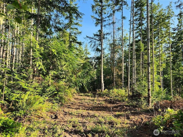 0 Rocky Brook Rd Lot I, Lot I, Brinnon, WA 98320 - photo 5