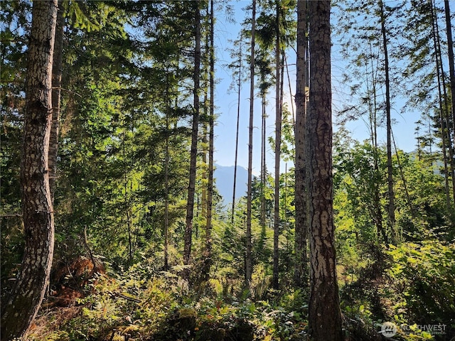 0 Rocky Brook Rd Lot I, Lot I, Brinnon, WA 98320 - photo 6